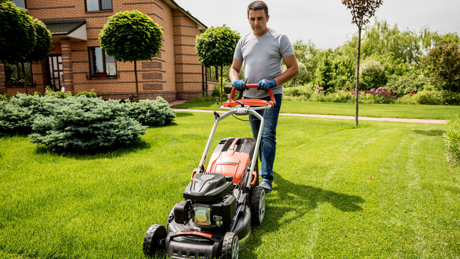 Dedicated to the finer details of lawn care!